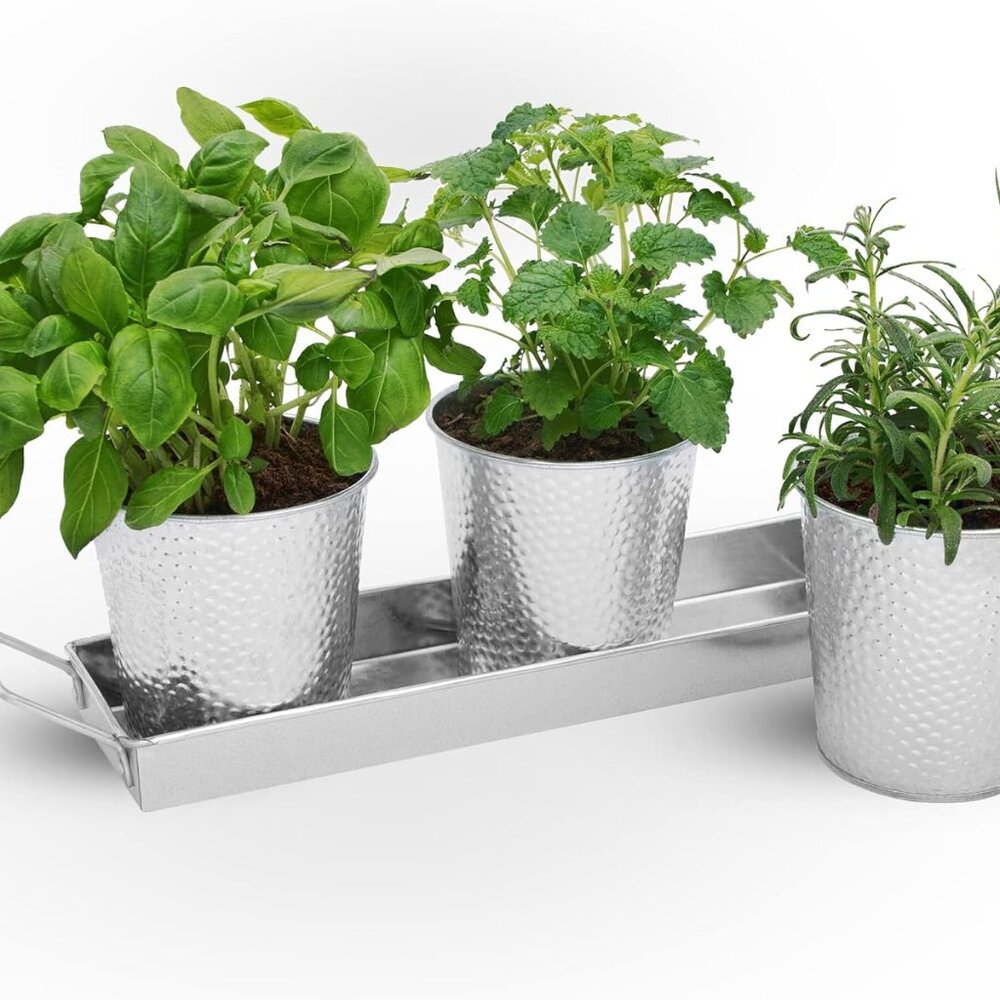 Set of 3 non-rusting indoor plant pots w/tray